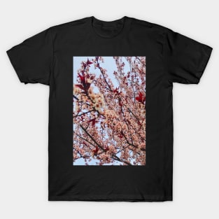 Disorient T-Shirt